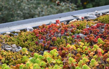 the cost of Woodend Green green roof installation