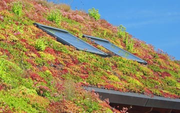 Woodend Green living roof systems